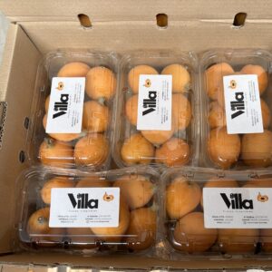 caja de nísperos
