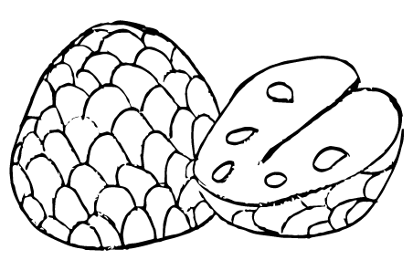 elemento chirimoya
