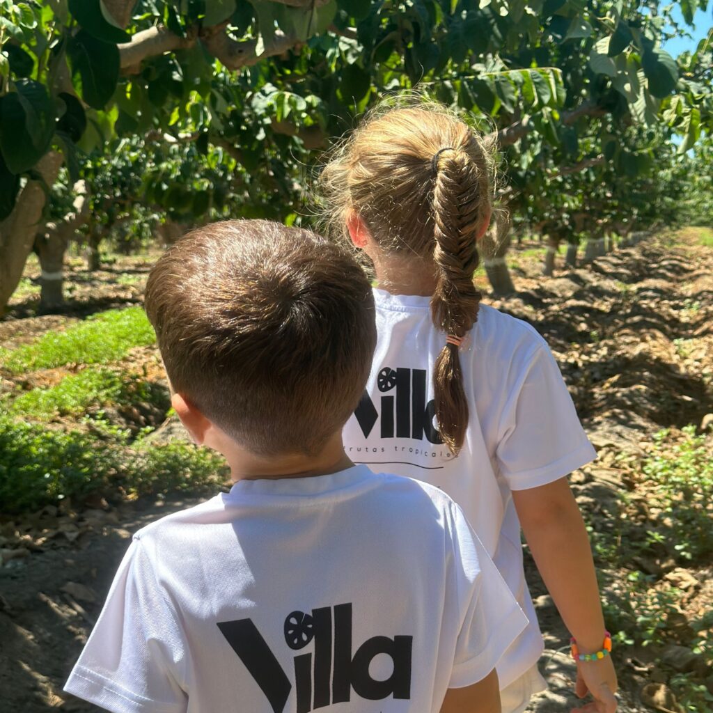 villa frutas tropicales