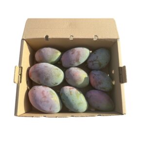 mangos osteen